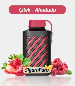 Vozol 10000 Strawberry Raspberry satın al