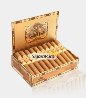 San Lotano Connecticut Gordo satın al